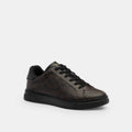 Tenis High Line Canvas Café Obscuro Hombre