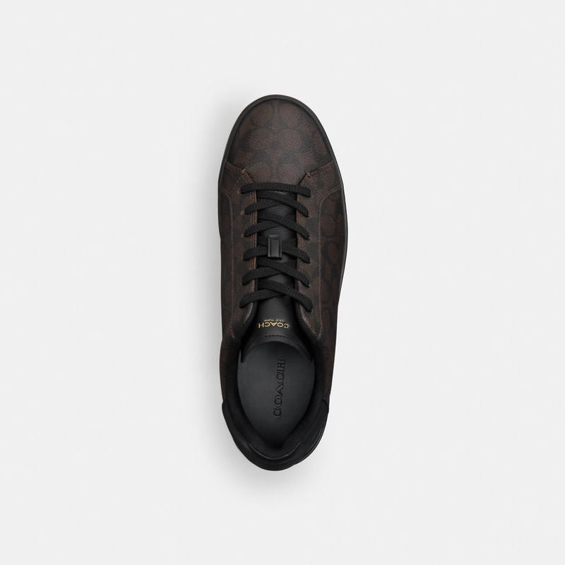 Tenis High Line Canvas Café Obscuro Hombre