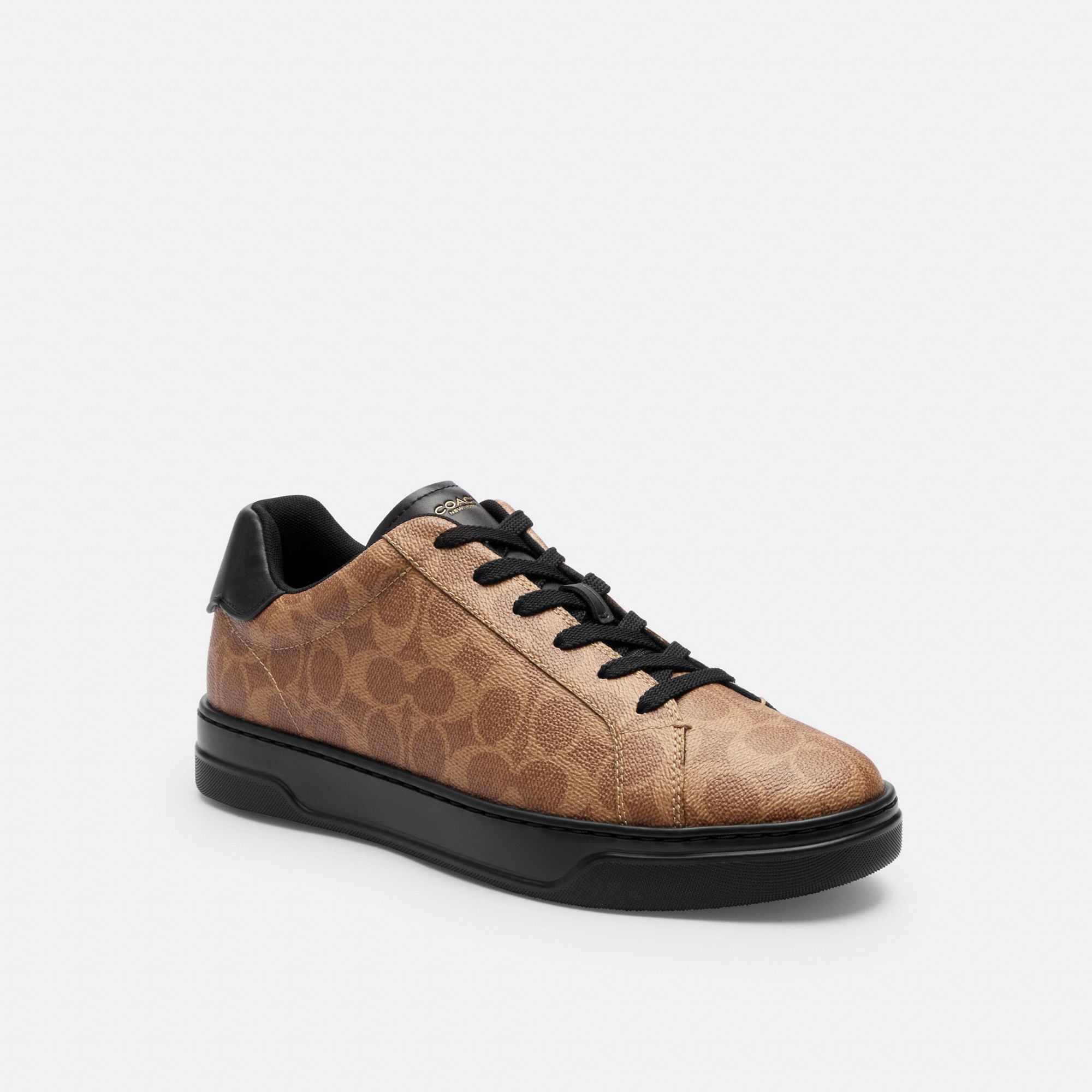 Tenis High Line Canvas Café Hombre