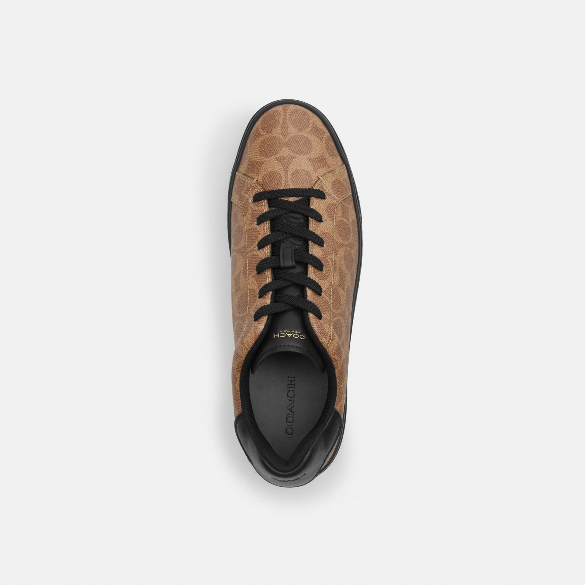 Tenis High Line Canvas Café Hombre