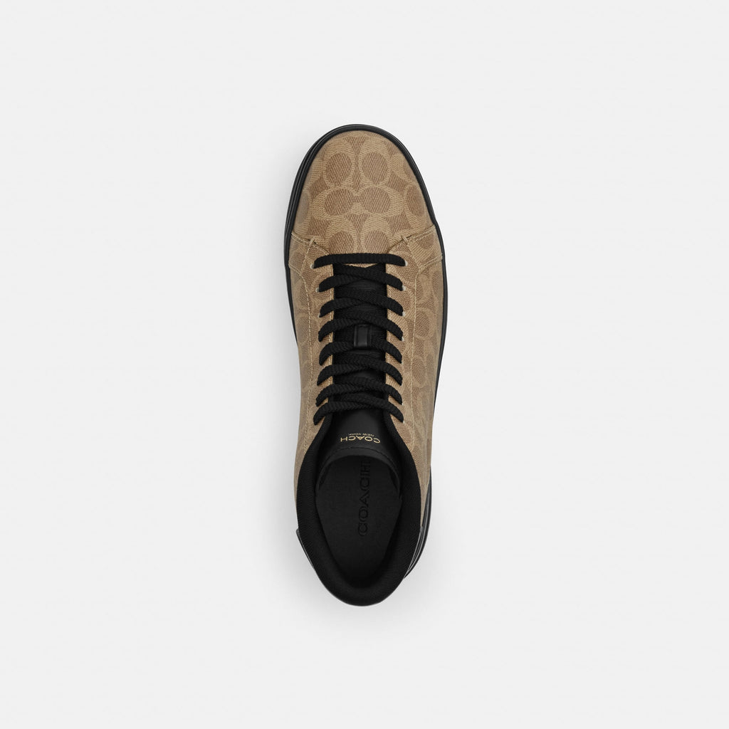 Tenis High Line Top Canvas Café Hombre