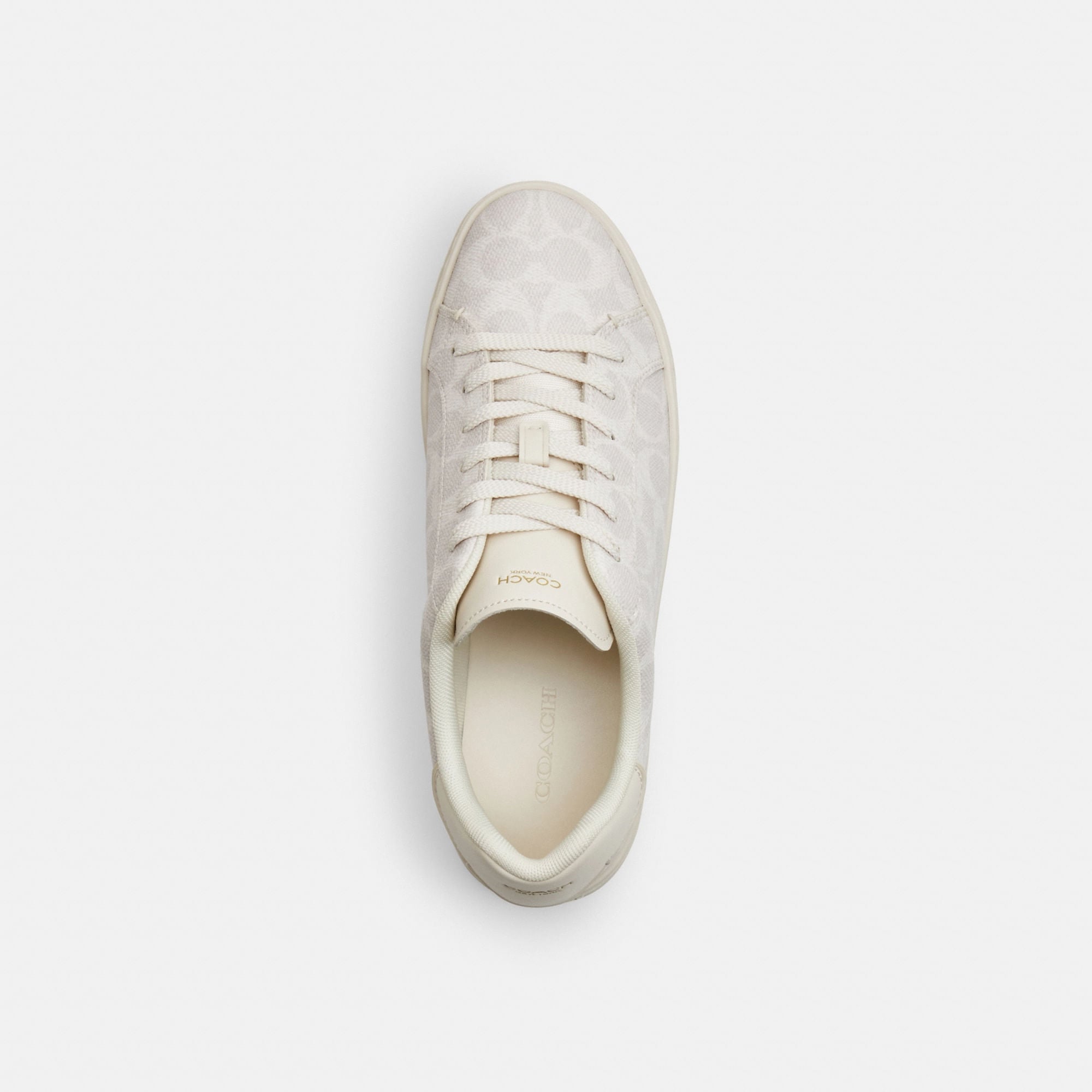 Tenis High Line Canvas Blanco Mujer