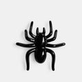 Charm de Calzado Spider