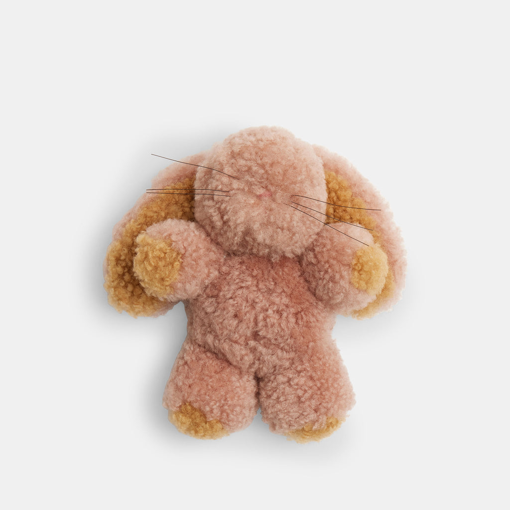 Charm de Calzado Bunny