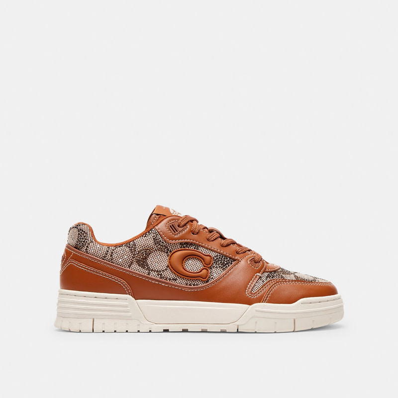 Tenis Soho Crystal Signature Café Mujer