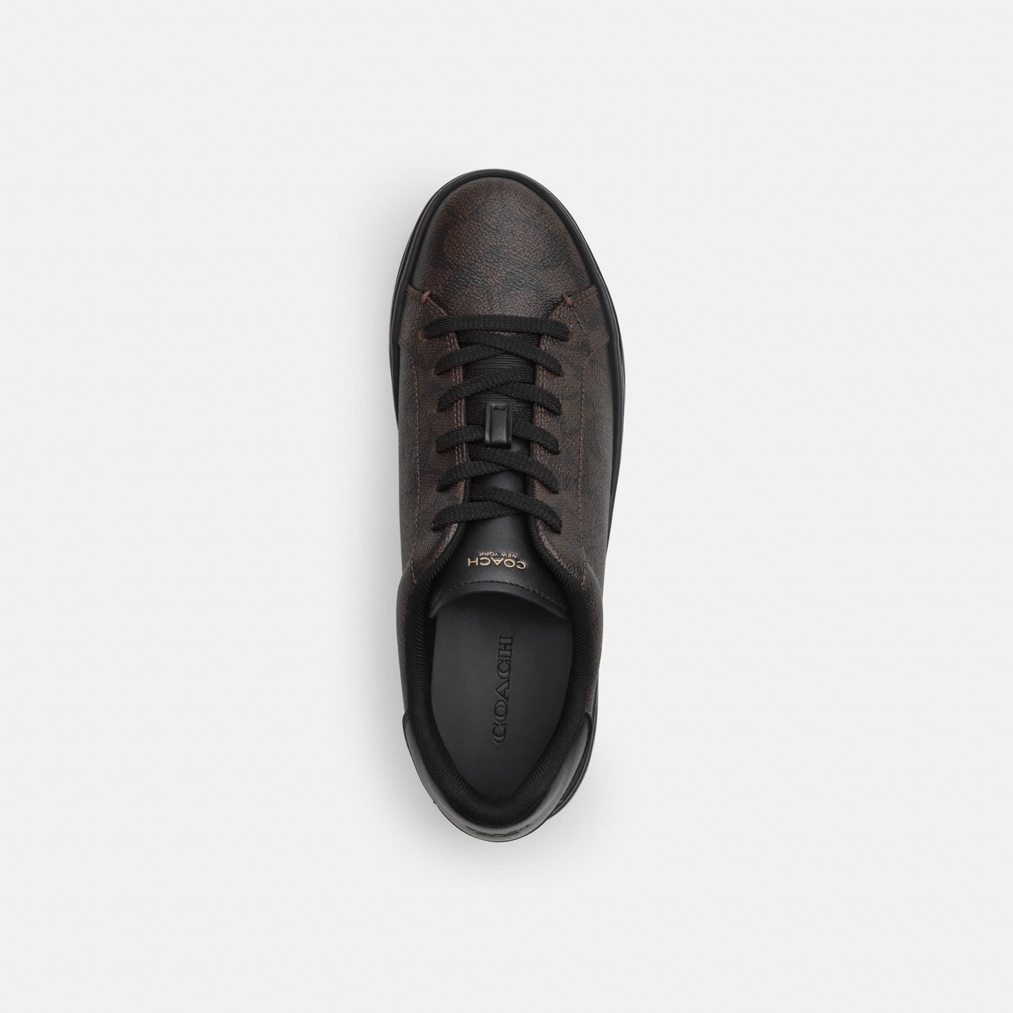 Tenis High Line Canvas Café Obscuro Mujer