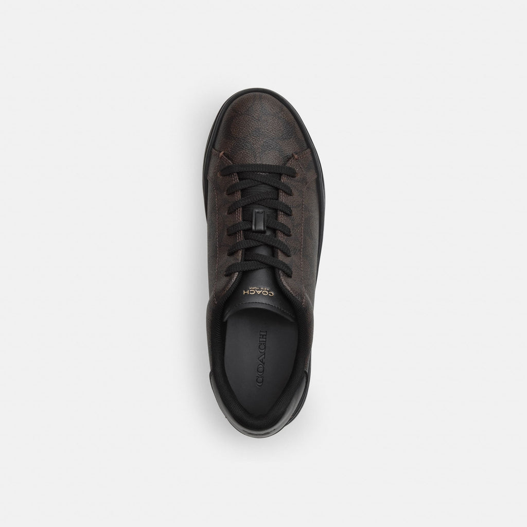 Tenis High Line Canvas Café Obscuro Mujer