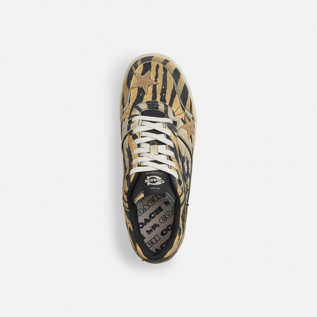 Tenis Soho Stars Multicolor Hombre