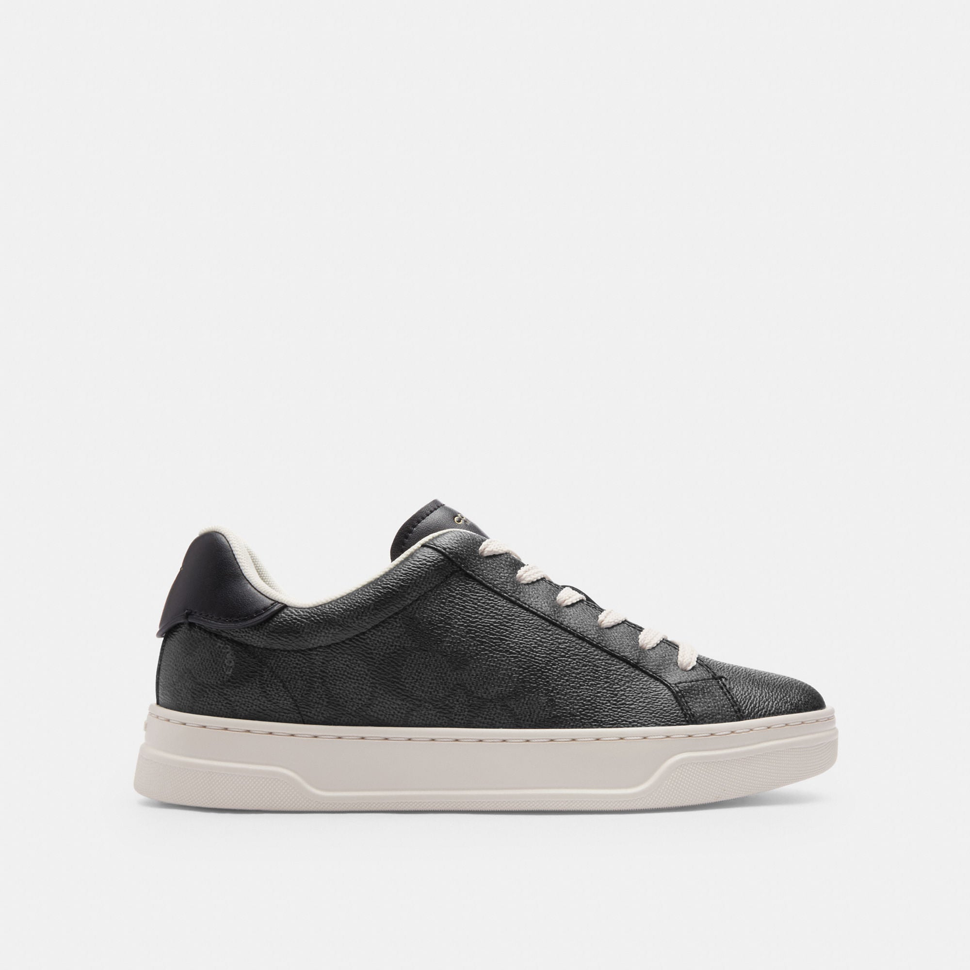 Tenis High Line Canvas Signature Negro Mujer