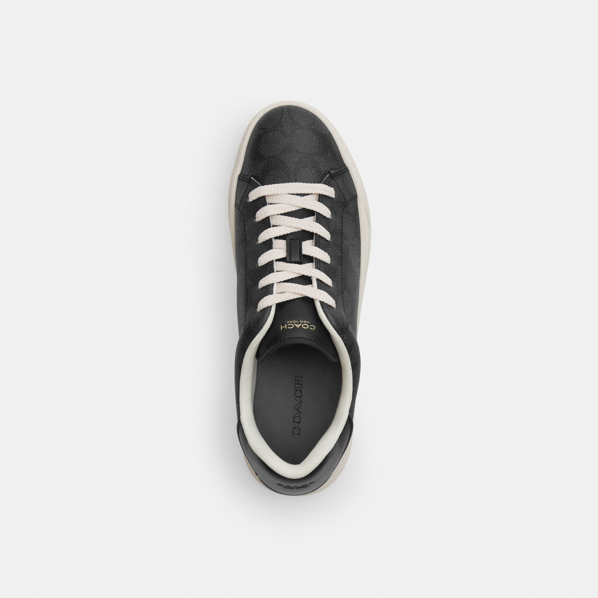 Tenis High Line Canvas Signature Negro Mujer
