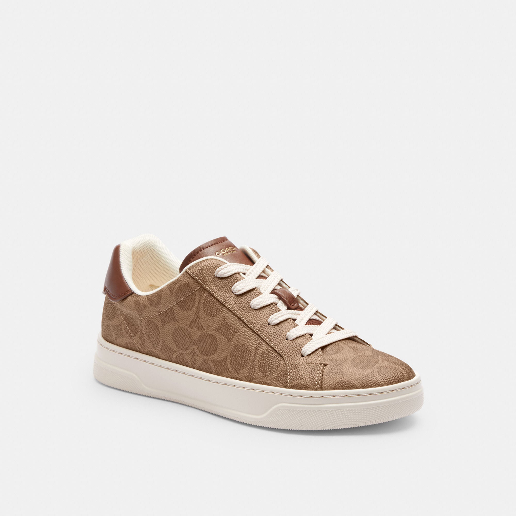 Tenis High Line Canvas Signature Café Mujer