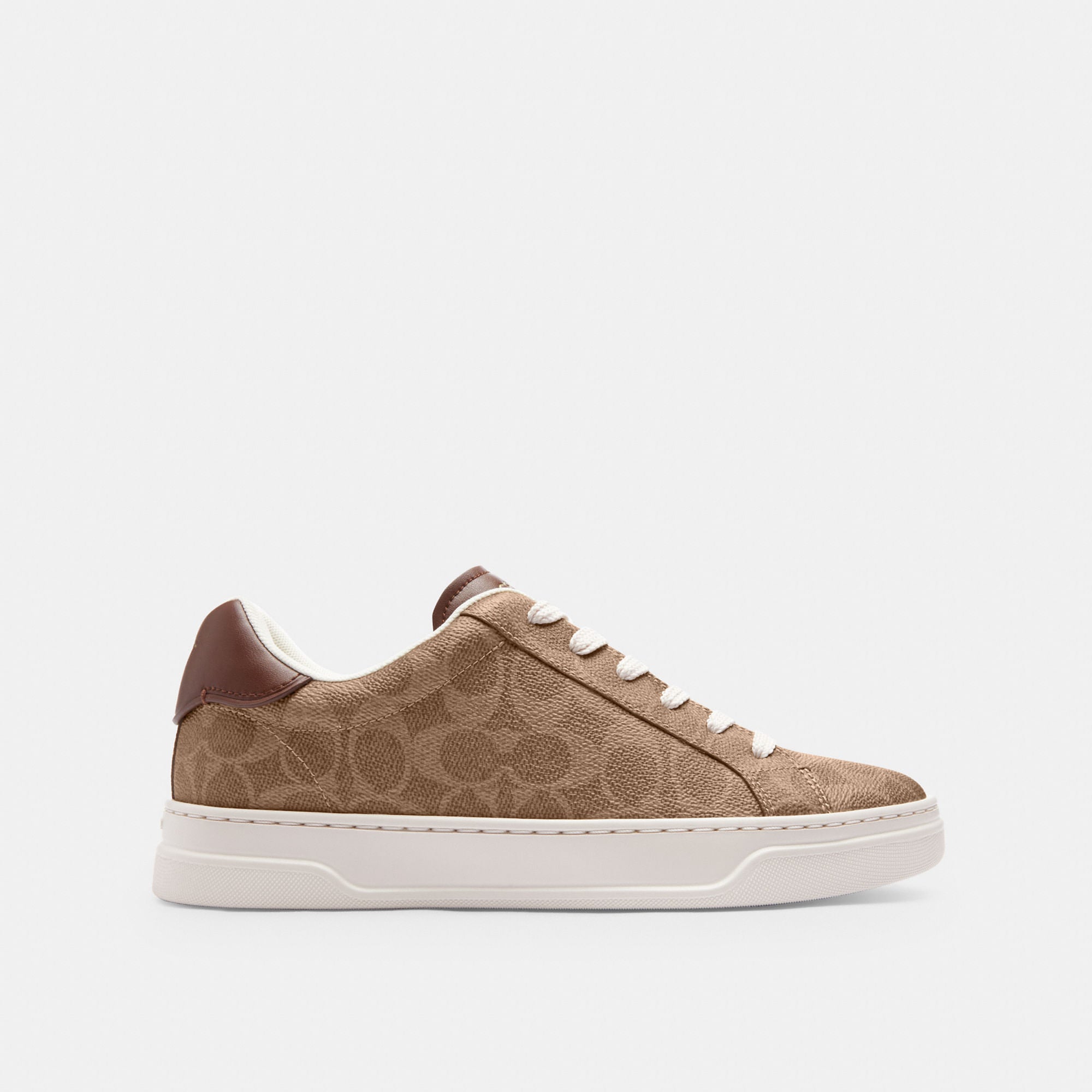 Tenis High Line Canvas Signature Café Mujer