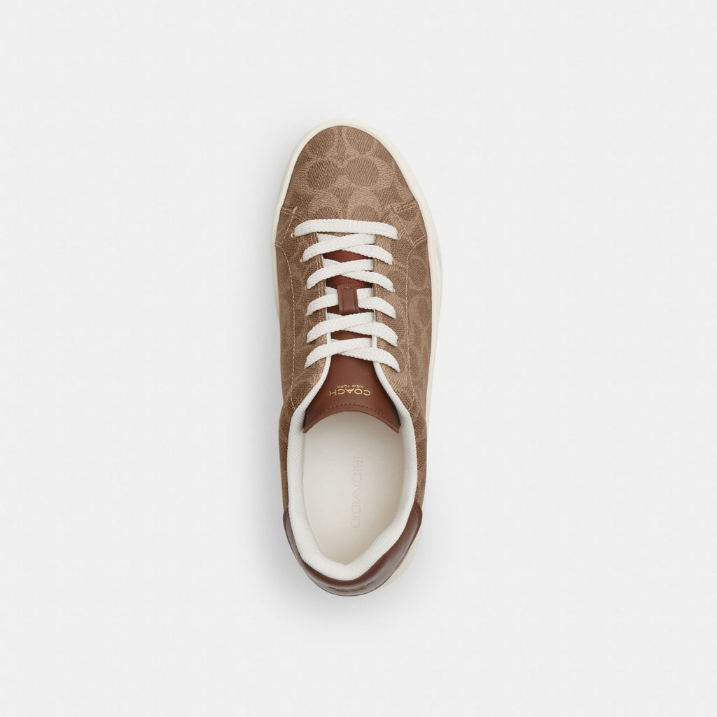 Tenis High Line Canvas Signature Café Mujer