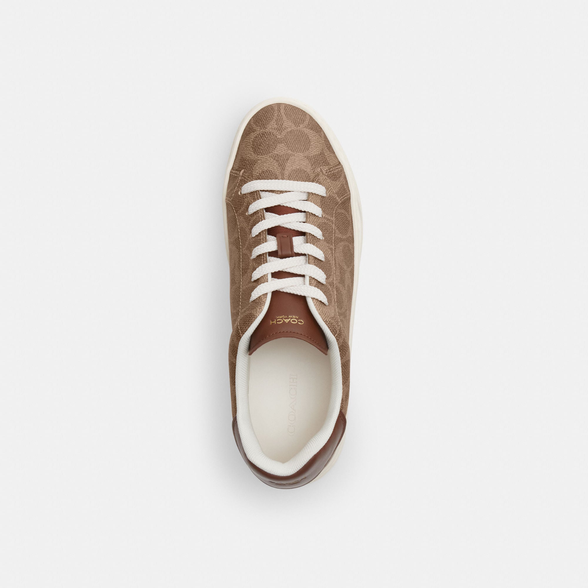 Tenis High Line Canvas Signature Café Mujer