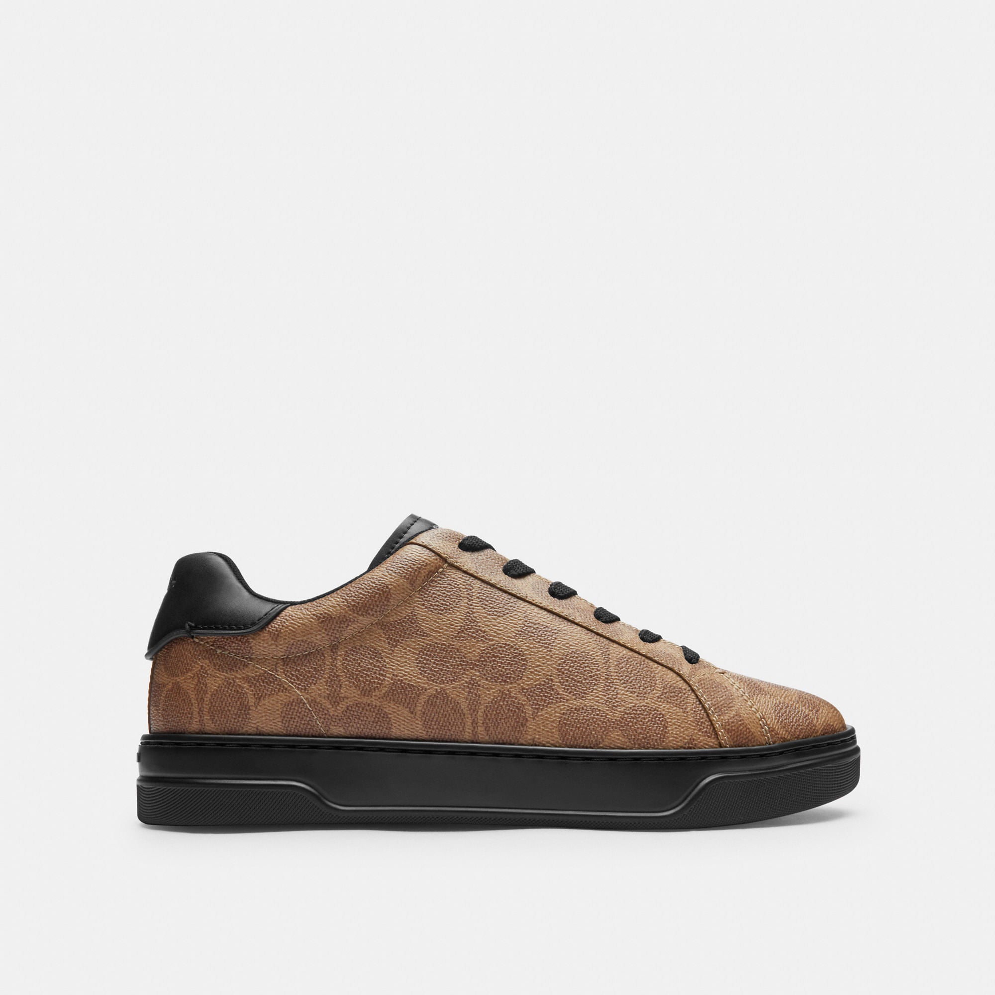 Tenis High Line Canvas Signature Café Hombre