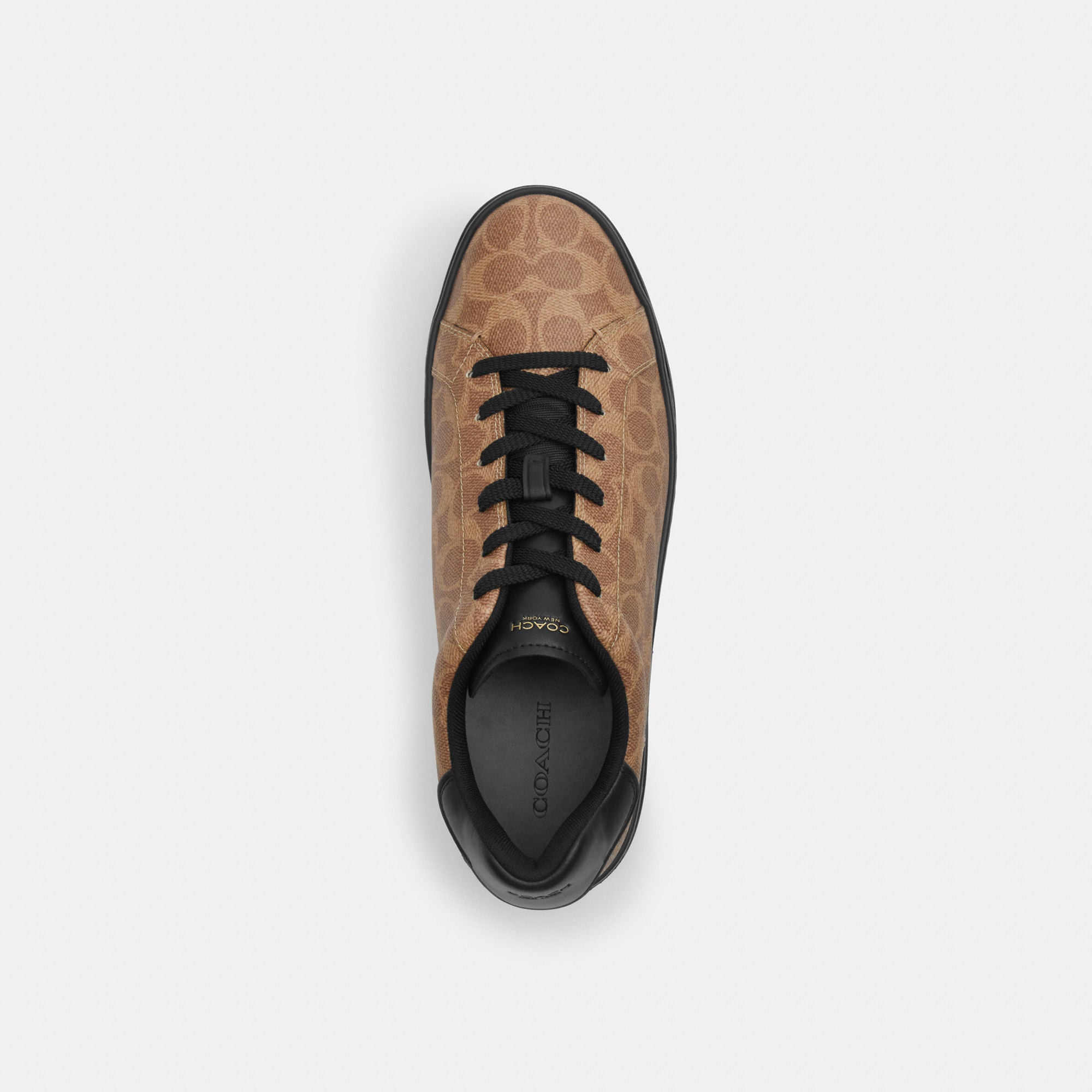 Tenis High Line Canvas Signature Café Hombre