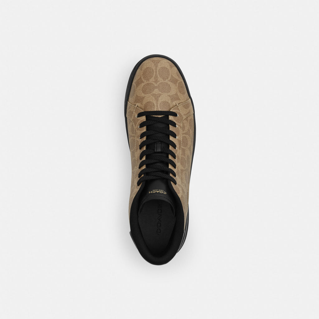 Tenis High Line High Top Canvas Signature Café Hombre