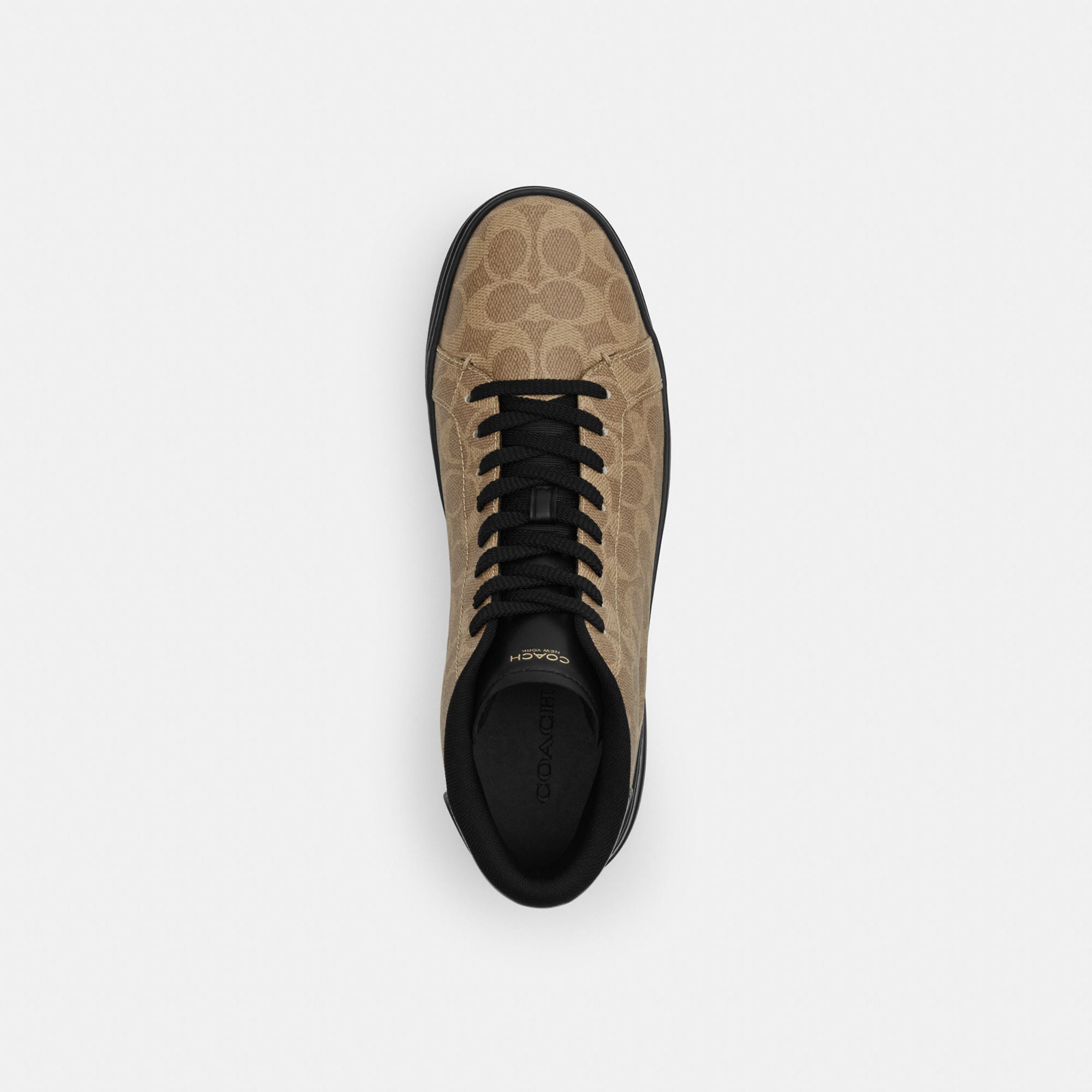 Tenis High Line High Top Canvas Signature Café Hombre