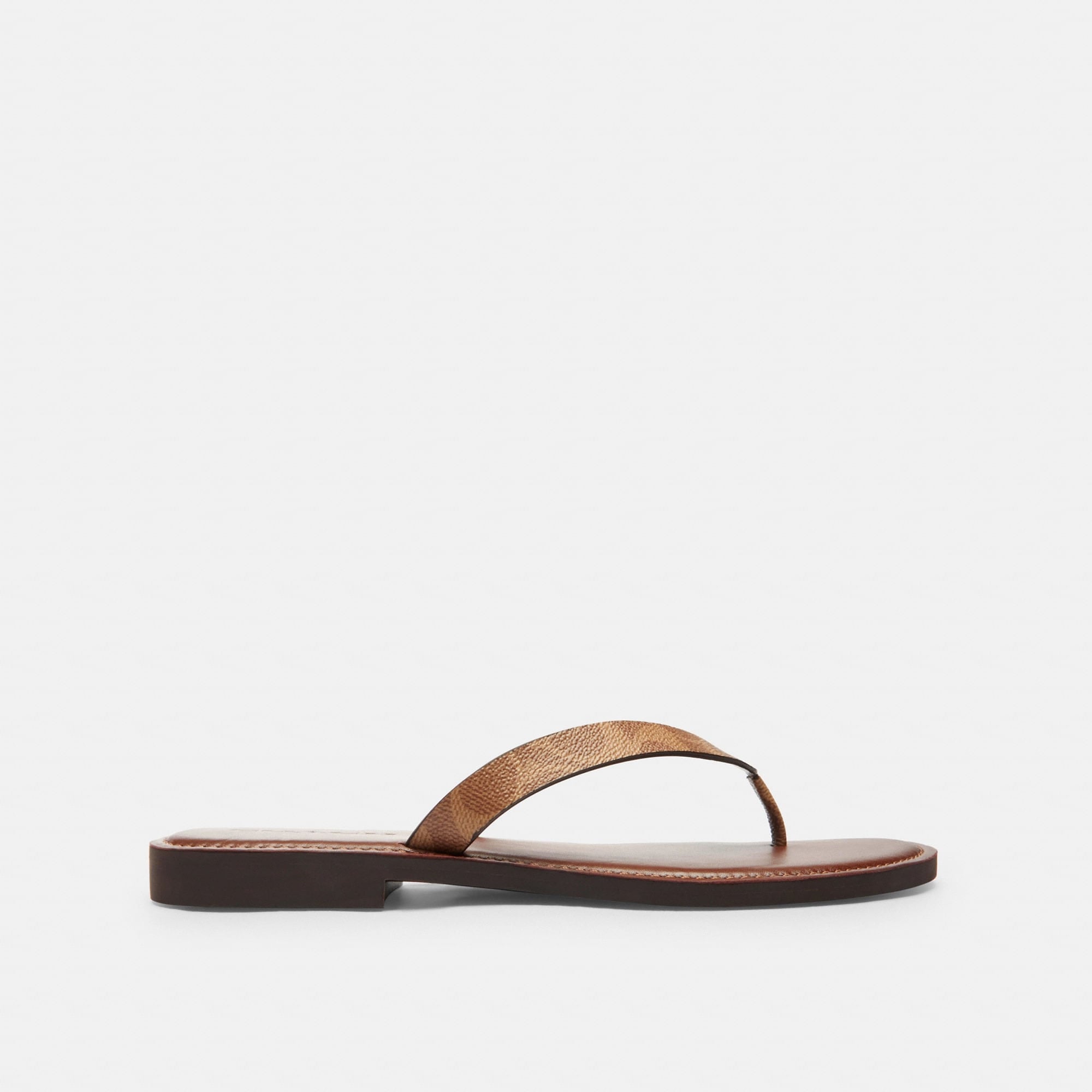 Sandalias Brianna Canvas Signature Café Mujer