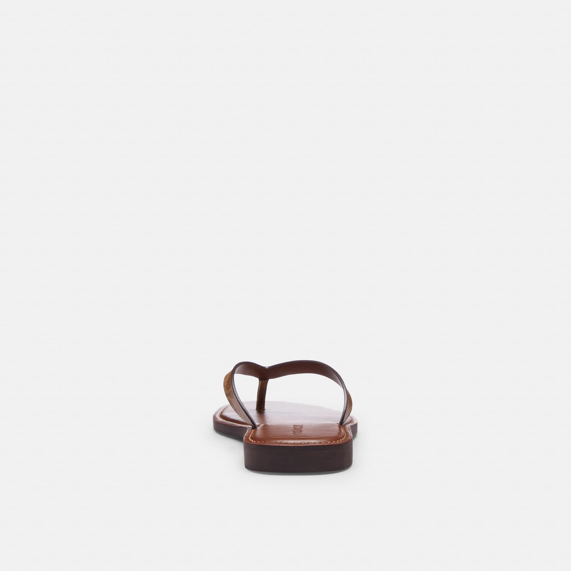 Sandalias Brianna Canvas Signature Café Mujer