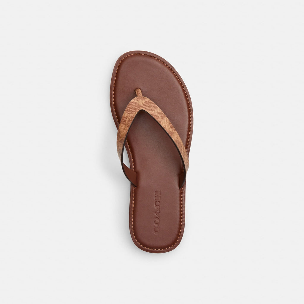 Sandalias Brianna Canvas Signature Café Mujer