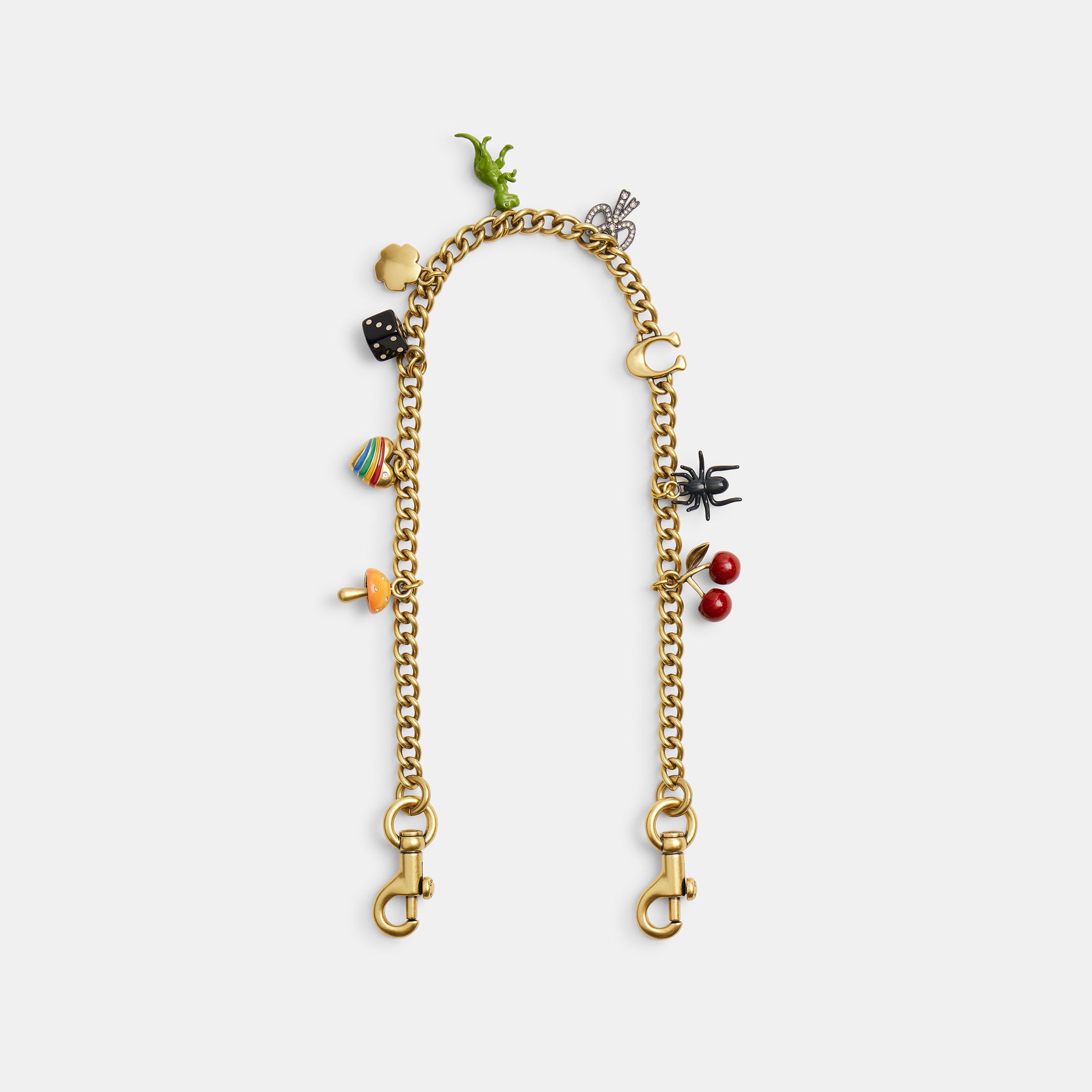 Strap Coach Iconos