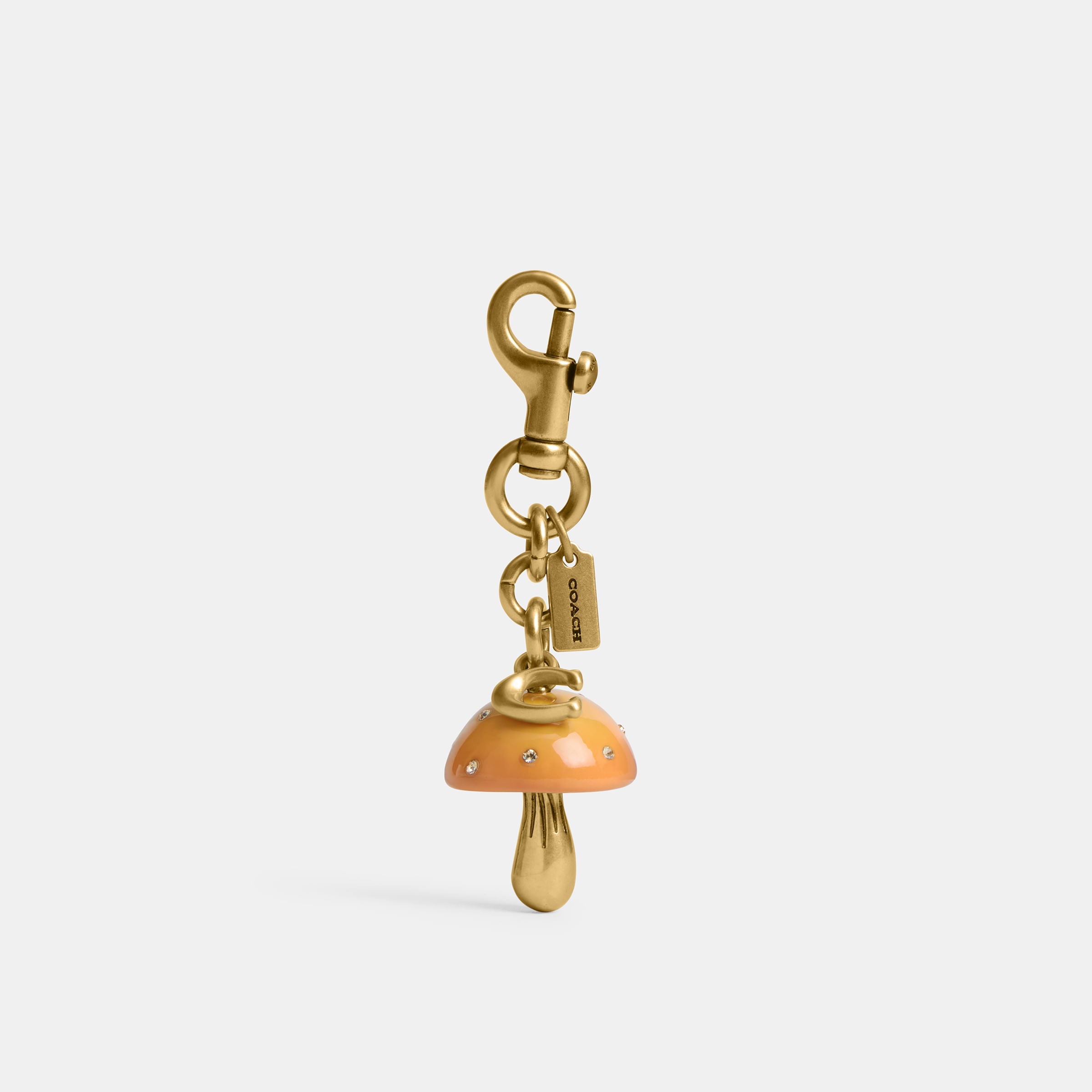 Bag Charm Coach de Mushroom